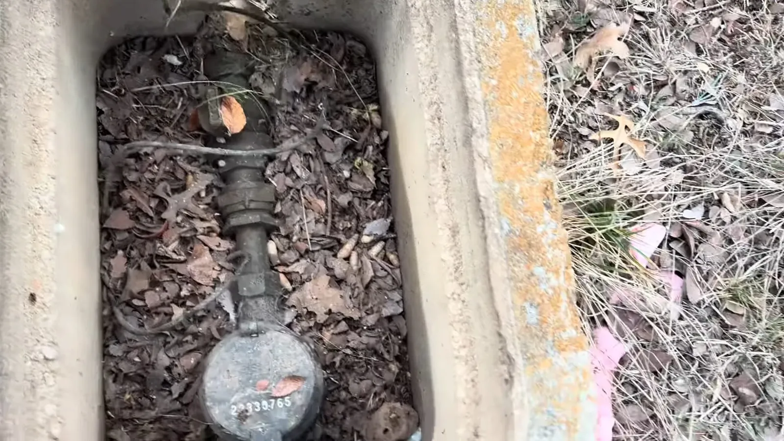 Water meter in a concrete ground box covered in dry leaves.