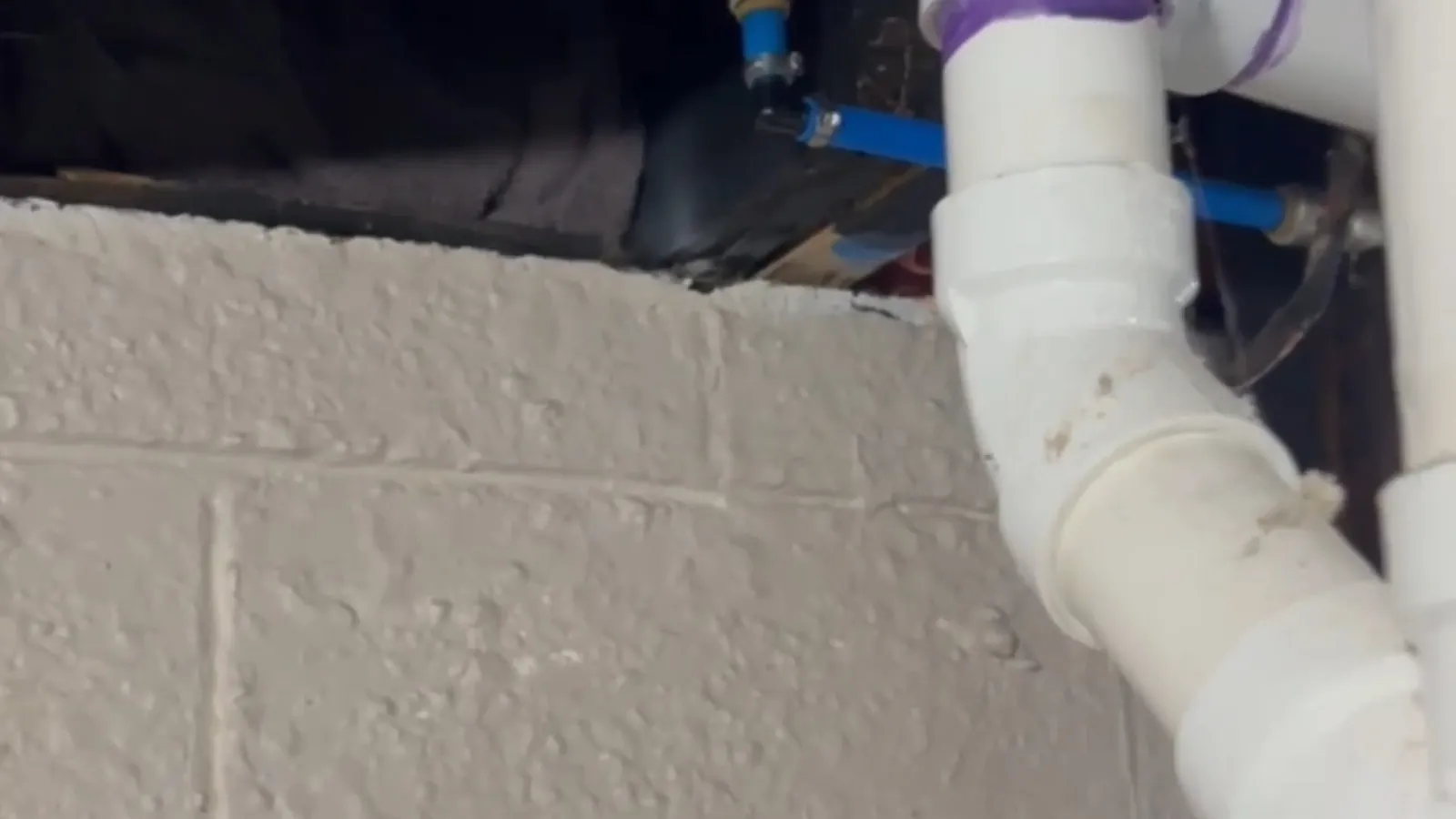 White PVC drain stack and fittings against a cinder block wall.
